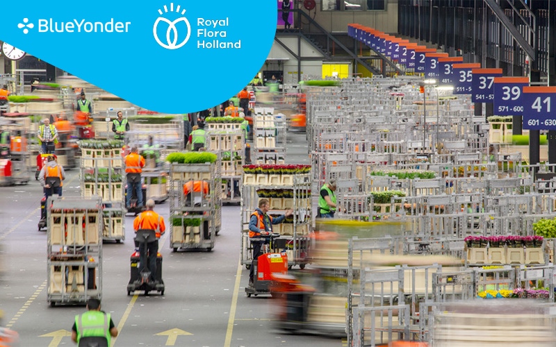 Royal FloraHolland Transforming Warehouse and Digital Fulfilment Capabilities with Blue Yonder